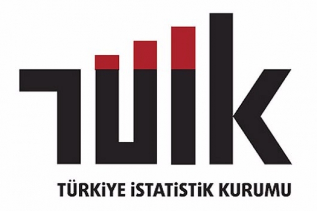 TÜİK, katı yakıt istatistiklerini açıkladı
