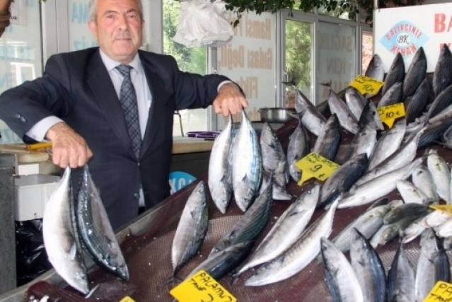 Palamut, Karadeniz'i terk edemeyince av sezonu uzadı