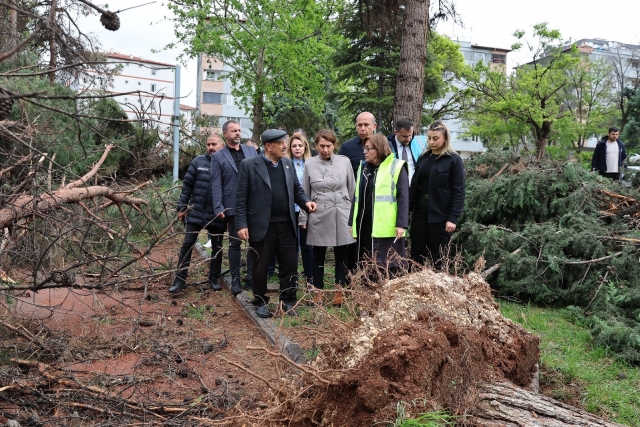 BAŞKAN ŞAHİN ÇALIŞMALARI YERİNDE TAKİP ETTİ