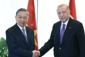 Cumhurbaşkanı Erdoğan, Vietnam Devlet Başkanı Lam ile görüştü